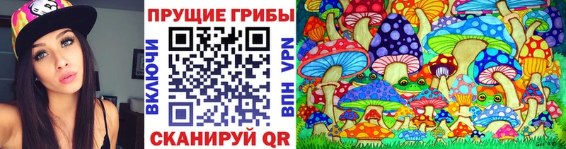 Галлюциногенные грибы мицелий  Спас-Клепики 